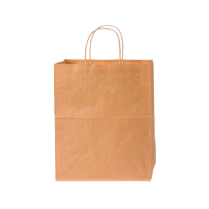 Kraft Paper Bag 10x6x12