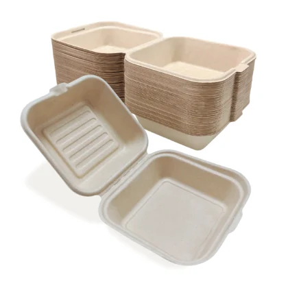 Bagasse Clamshell Box