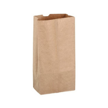 Brown Paper Bag