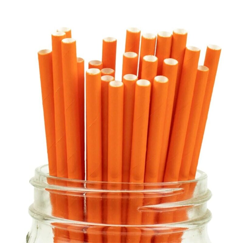 Orange Paper Straw